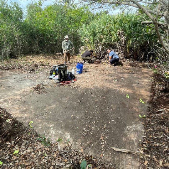 Three people work on clearing and cleaning around a concrete foundation in a wooded area. Equipment and tools are scattered nearby.