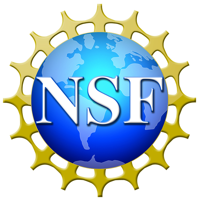 The nsf logo with a blue globe.