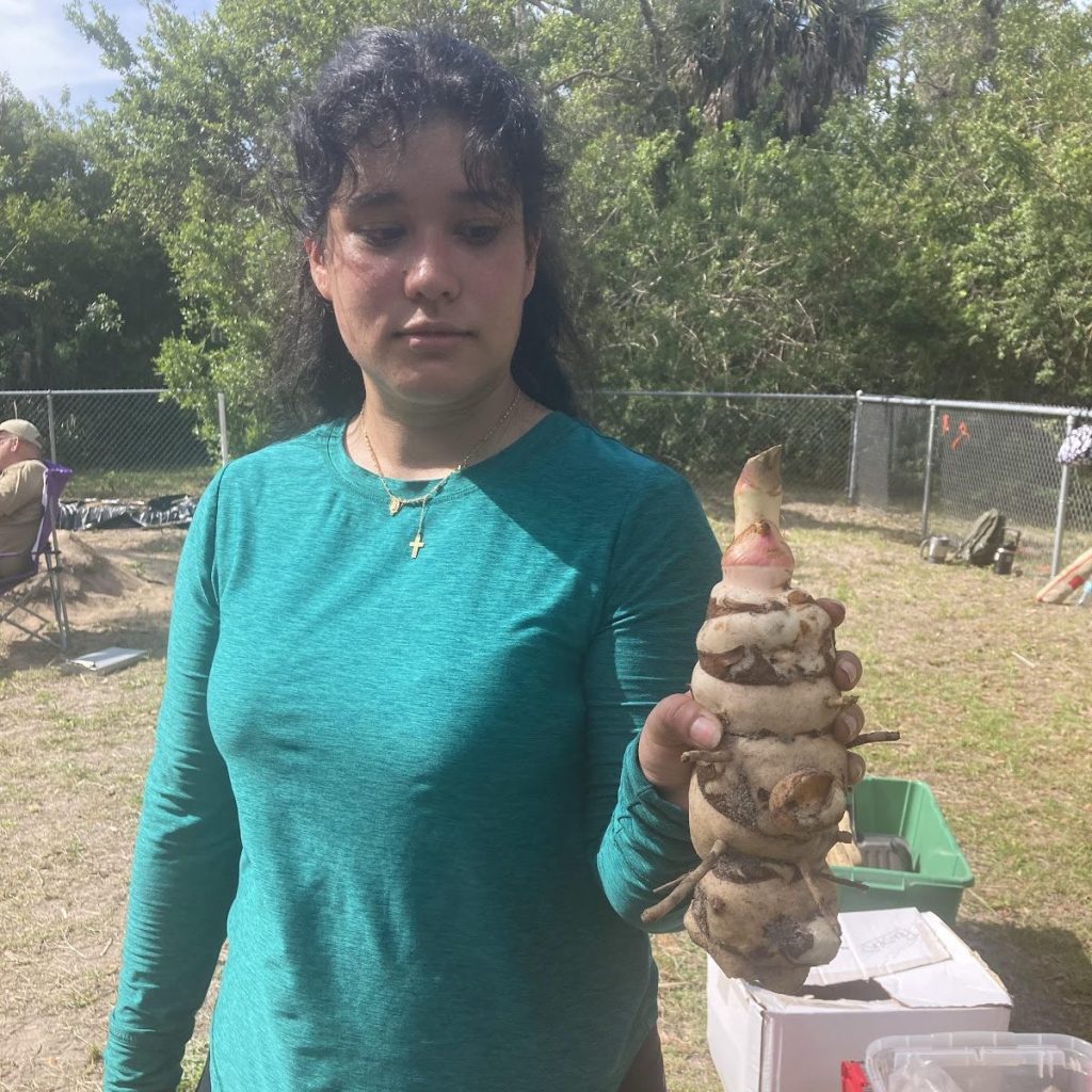 Woman in a teal shirt holding a clump of freshly dug tubers outdoors, with trees and bystanders in the background.