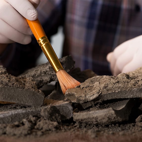 Department of Anthropology, UCF