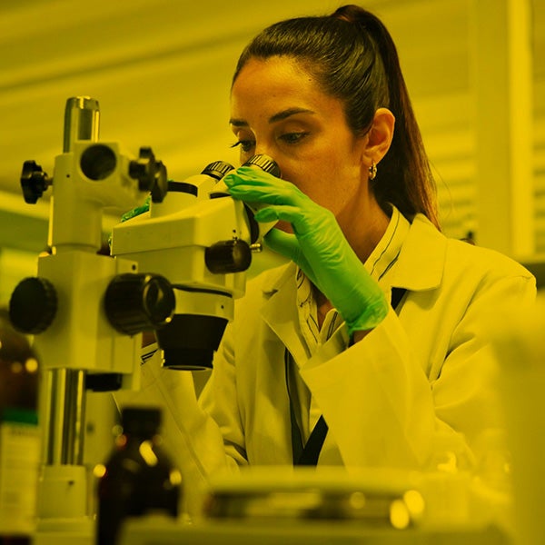 A scientist wearing a lab coat and green gloves looks through a microscope in a laboratory setting.