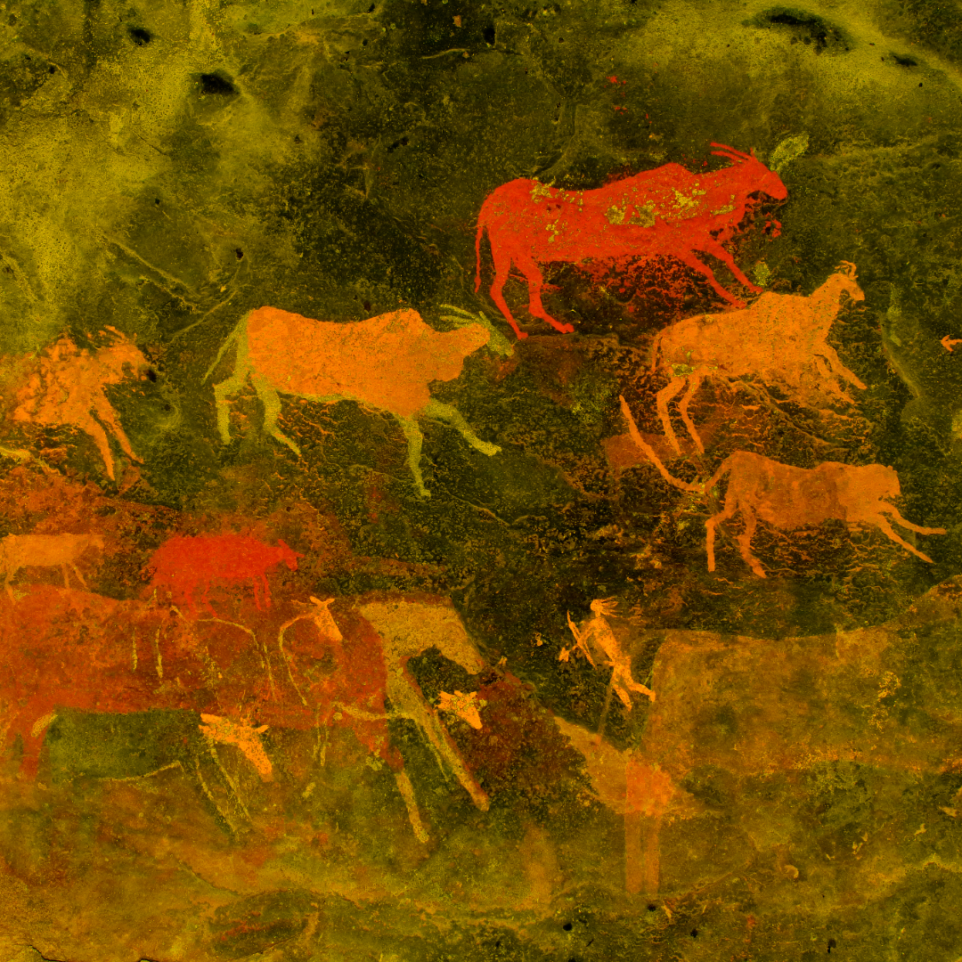Ancient cave painting depicts multiple cows and other animals in earthy red and orange tones on a textured, greenish-yellow background.