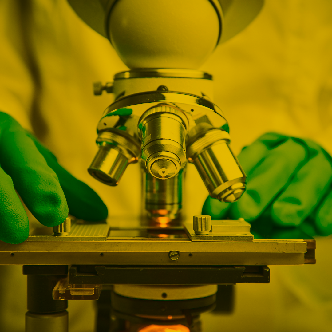 Close-up of a person wearing green gloves adjusting a slide on a microscope in a laboratory setting, with a yellow filter over the image.