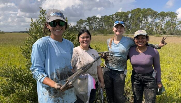 Soil Coring in Field