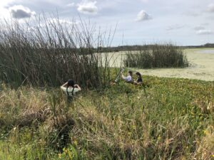 Three people stand and crouch among tall grasses and reeds near a marshy area with green water plants and a partly cloudy sky overhead.
