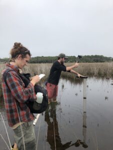 Two people stand in a wetland; one records notes while the other uses a mallet to secure a structure on a post.