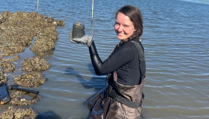 A person in waders kneels in shallow coastal water, holding a sediment core sample. Oysters or rocks are visible in the water nearby under a clear blue sky.