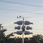 A pair of birds perched on the top bar of a multi-compartment birdhouse mounted on a pole during sunset. Several birdhouses are mounted on lower bars.