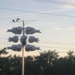 A cluster of white birdhouses attached to a tall pole with two birds perched on the top. Power lines and a clear sky form the background, with trees visible below.