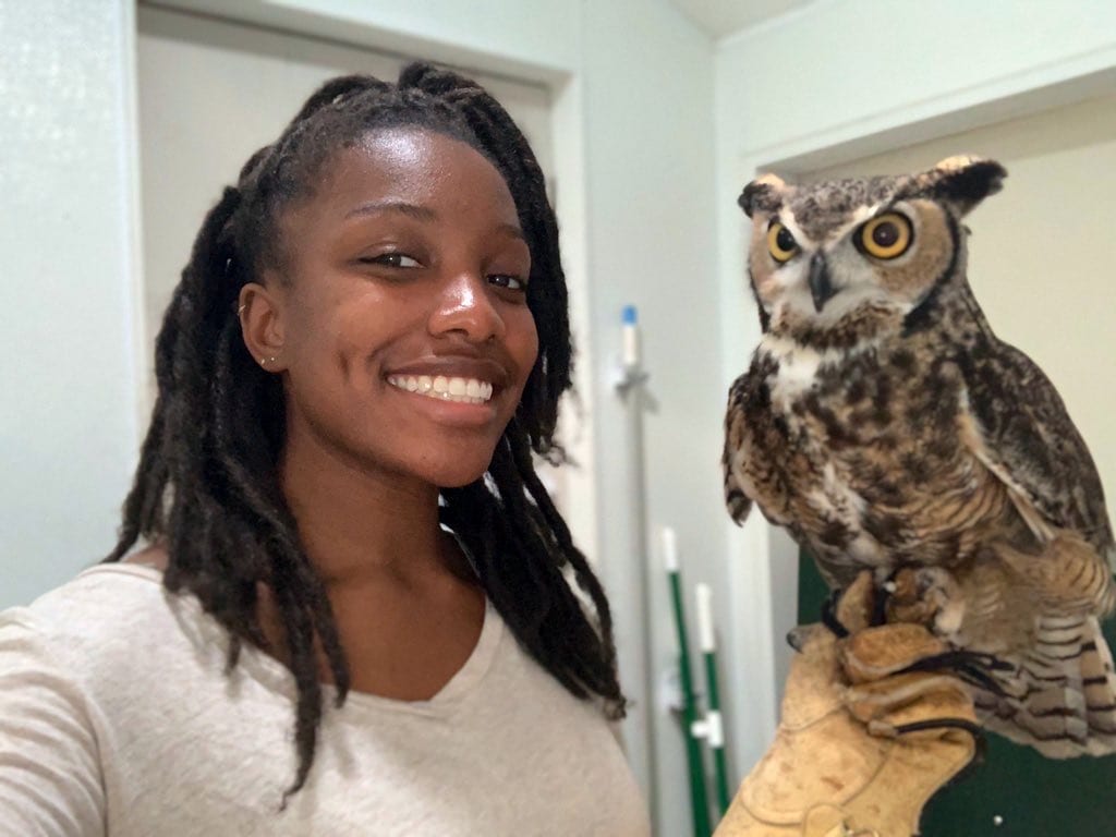 A person with long, braided hair smiles while holding an owl on their gloved hand indoors.