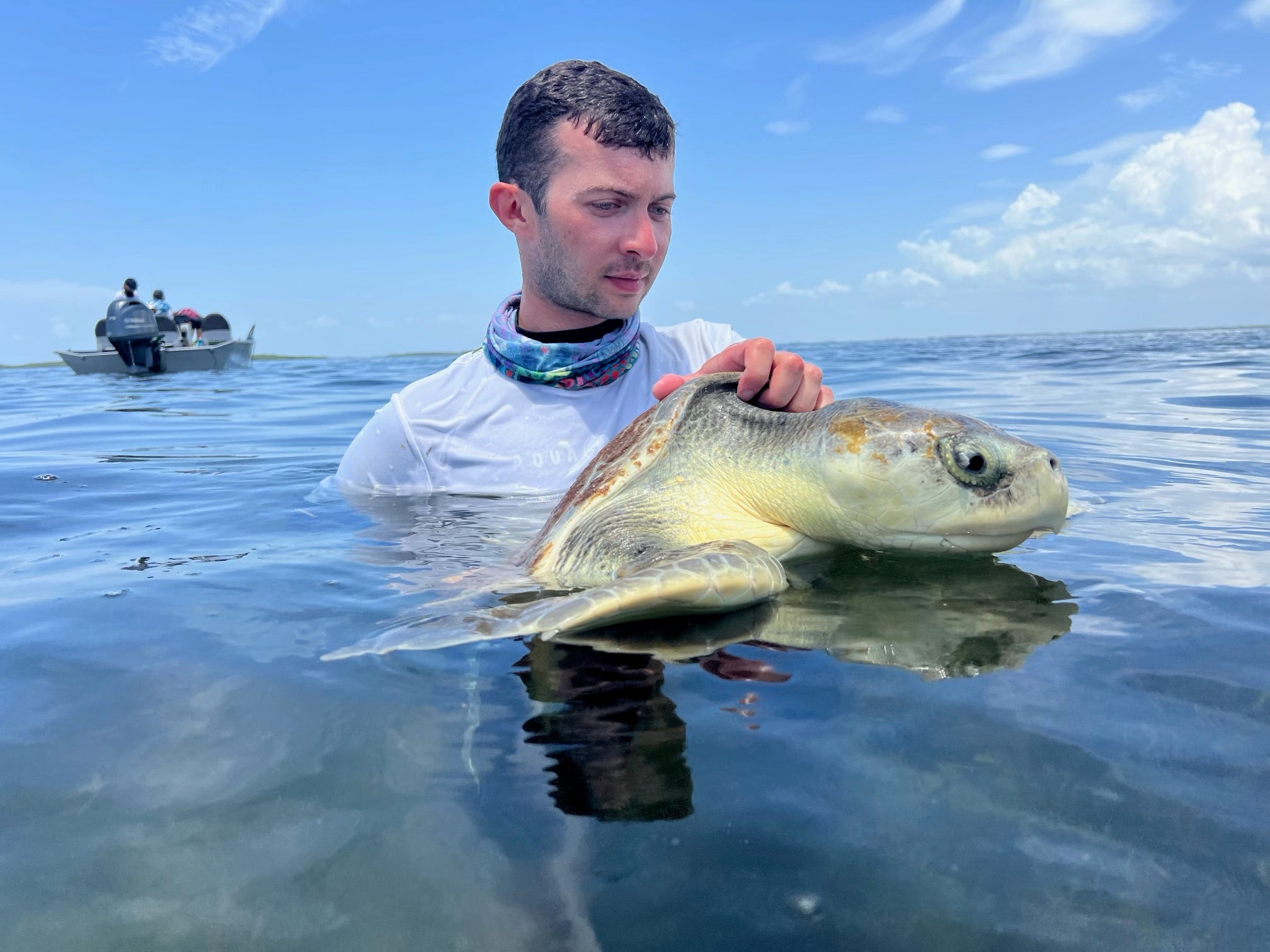 A person in the water holds a sea turtle. A boat with people is visible in the background under a blue sky.