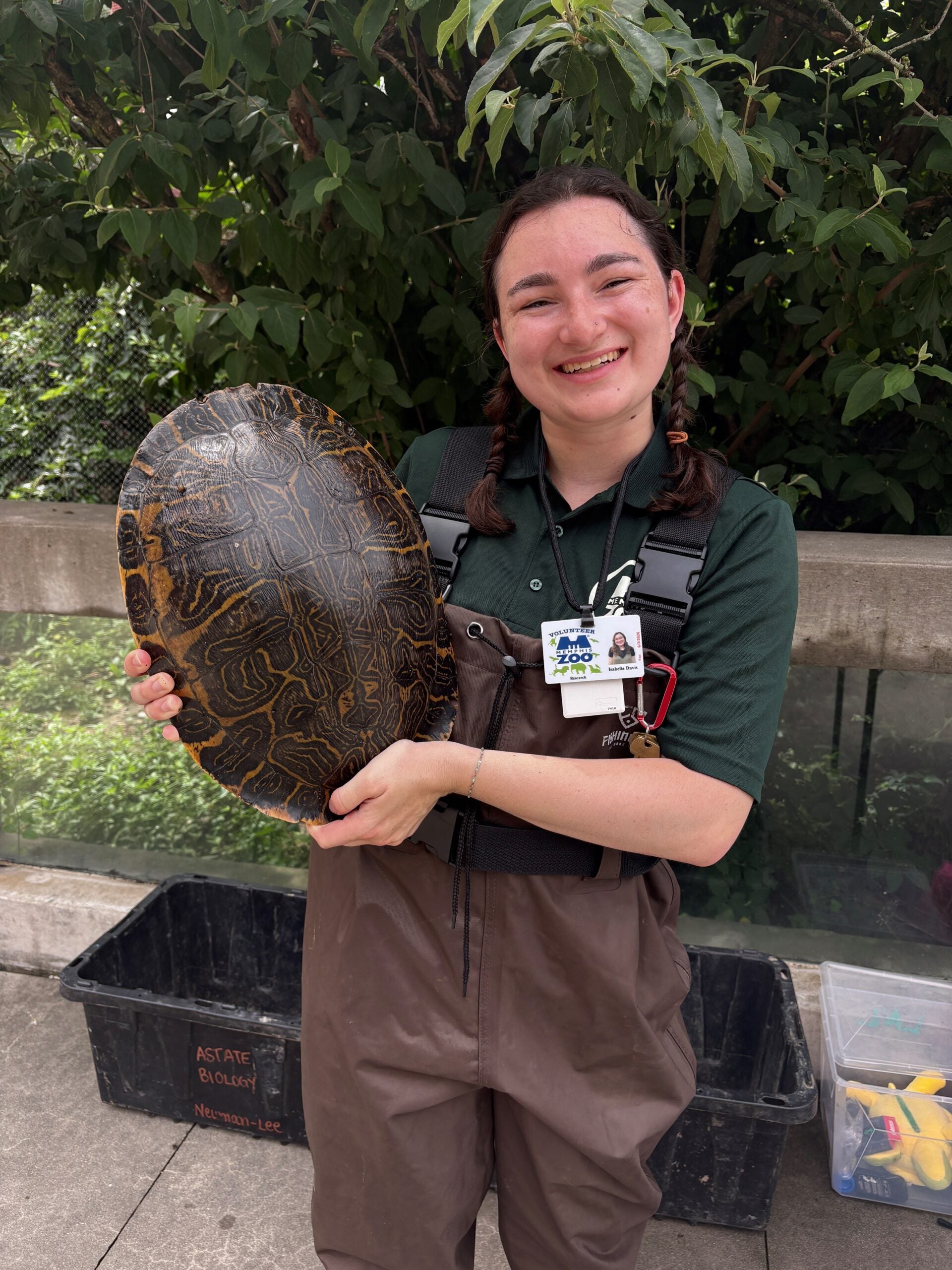 A smiling person in a green shirt and waders holds a large turtle shell. There are bins and greenery in the background.
