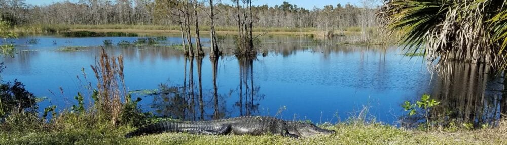 UCF D4 Ecology Lab