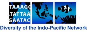 Diversity of the Indo-Pacific Network