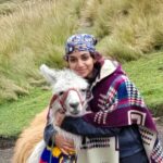 A person wearing a patterned scarf and poncho hugs a llama dressed in colorful accessories, with tall grass in the background.