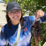 Person in a blue shirt, glasses, and a black cap holds up a lionfish outdoors, smiling at the camera. Shrubs and sunlight are visible in the background.