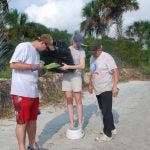 Three people on a beach collect and weigh trash. One person stands on a scale holding a bag, while the other two observe. Palm trees are in the background.