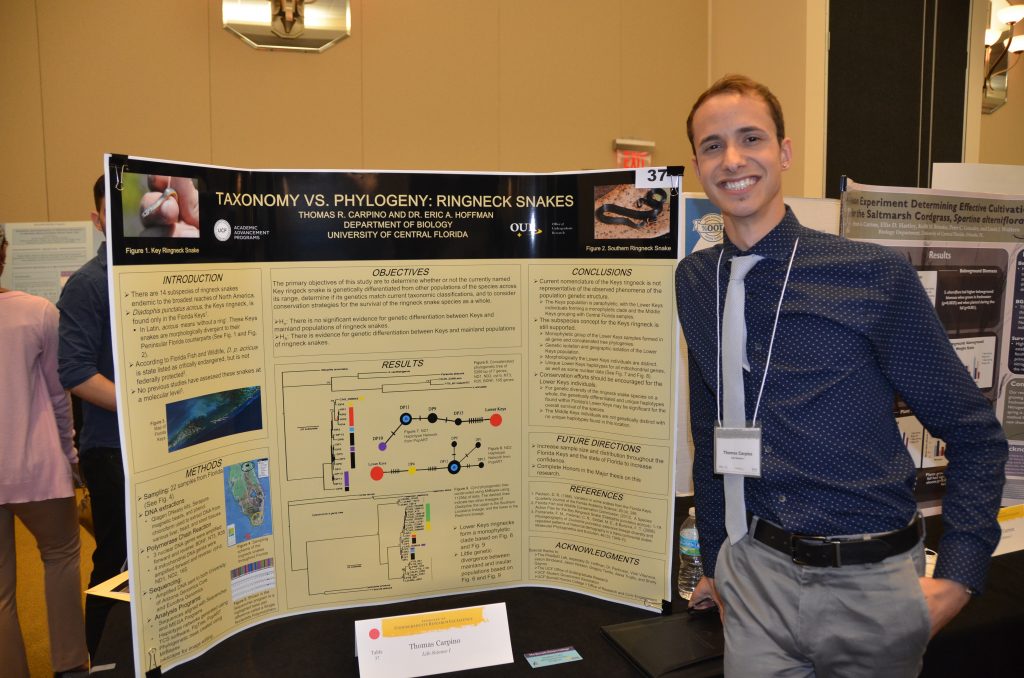 A person stands beside a scientific poster titled "Taxonomy vs. Phylogeny: Ringneck Snakes" at a conference.