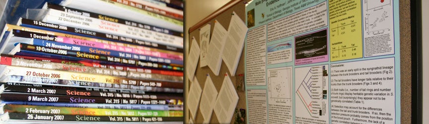 Publications - Hoffman Lab
