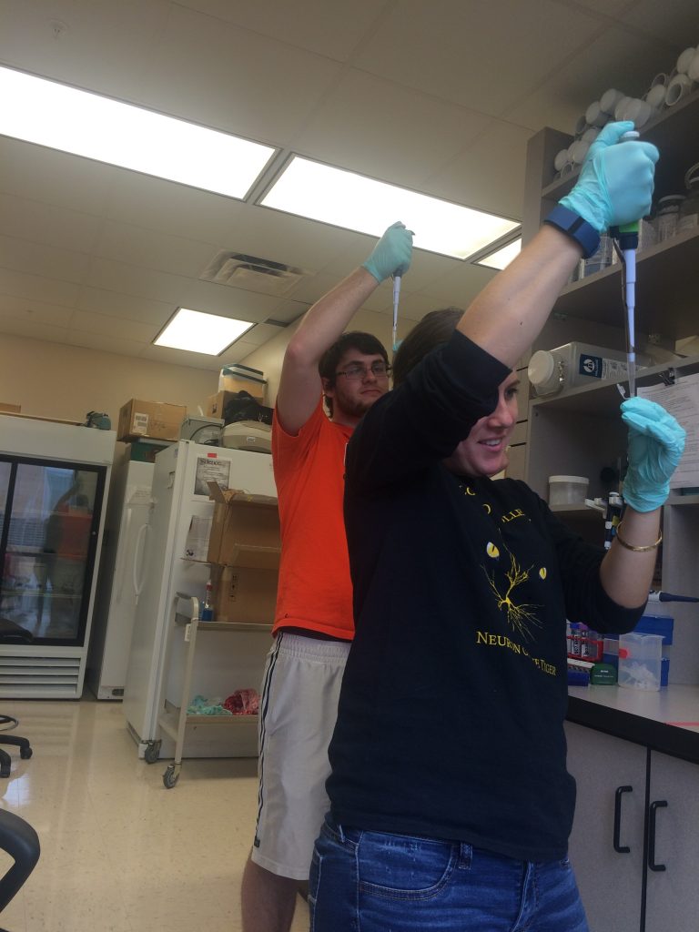 Two people in a lab using pipettes while wearing gloves. One is standing in front of a table with various lab equipment.