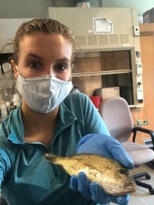 Person wearing a mask and gloves holds a fish indoors, with lab equipment visible in the background.