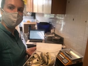 Person in a mask holding a tray of fish in a lab setting, with a laptop and equipment on the counter.