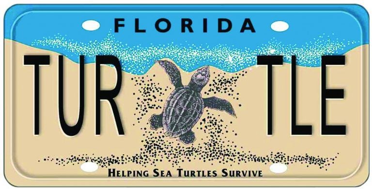 Sea Turtle License Plate