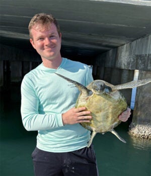 A person in a light blue shirt stands under a concrete structure, holding a sea turtle with both hands over the water.