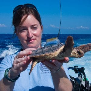 Kate Mansfield holding turtle with tracker