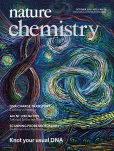 Front cover article for the Nature Chemistry
