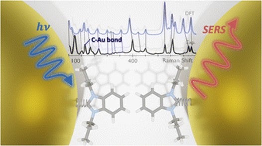 Illustration showing Surface-Enhanced Raman Scattering (SERS) between two gold nanoparticles, highlighting C-Au bond analysis with corresponding Raman shift spectra.
