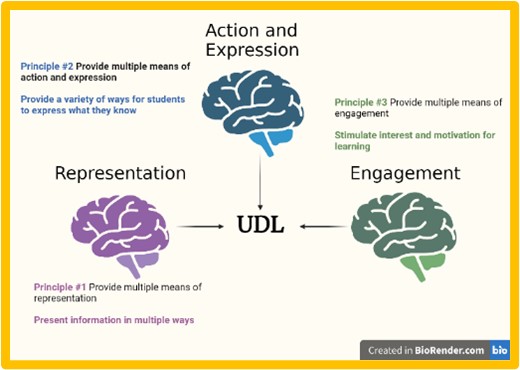 Graphic explaining the UDL framework