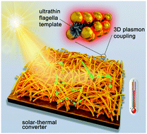 Diagram showing ultrathin flagella template with 3D plasmon coupling atop a solar-thermal converter. Sunlight is directed onto the converter, generating energy indicated by glowing green paths.