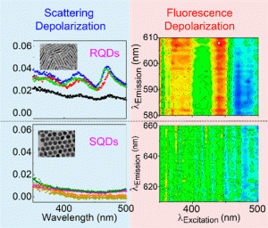 Graphs comparing scattering and fluorescence depolarization of RQDs and SQDs with accompanying wavelength and emission data. Insets show microscopic images of the respective quantum dots.