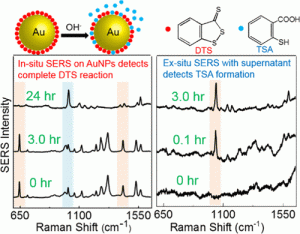 Graphical abstract presenting in-situ and ex-situ SERS analysis of DTS reaction and TSA formation. Shows SERS intensity versus Raman shift in cm⁻¹ for different time points (0 hr to 24 hr).