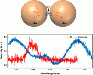 Graph illustrating photoluminescence (PL) and scattering intensity as functions of wavelength, with an illustration of two gold nanoparticles labeled "Au" and a quantum dot (QD) at their junction.