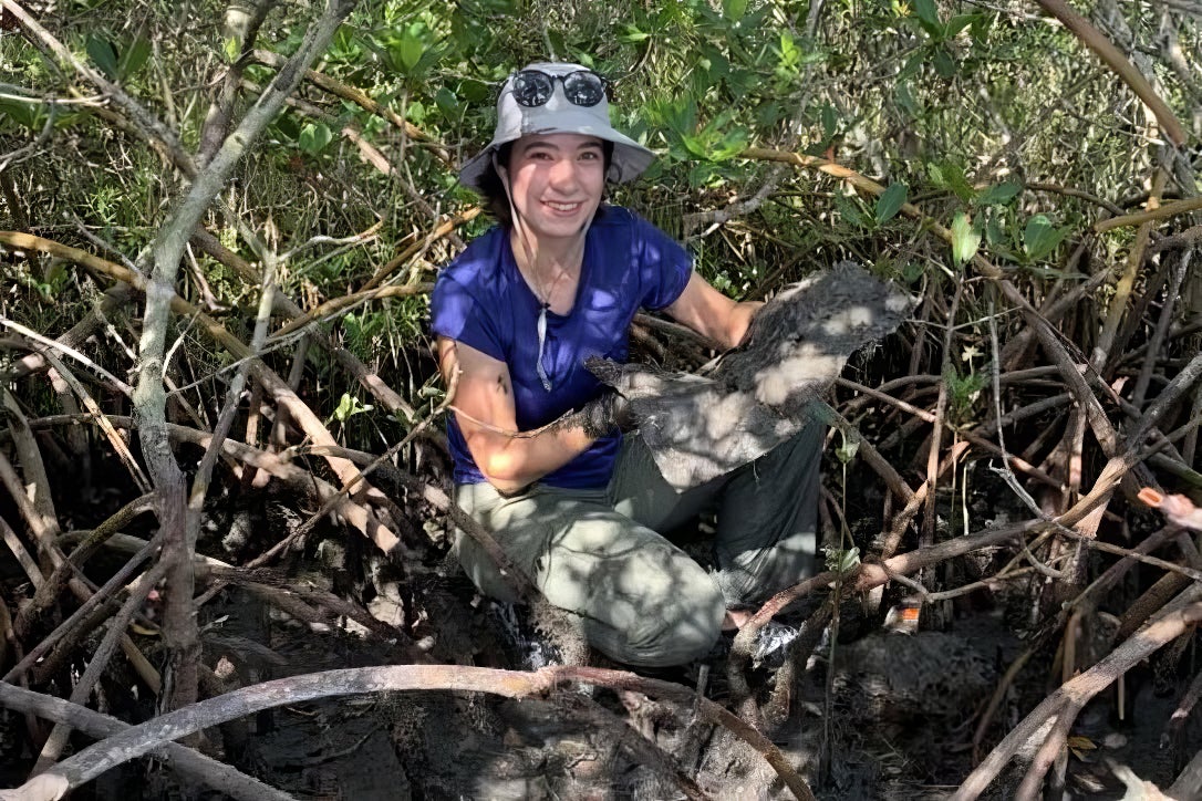 Person wearing a hat and gloves kneels among mangrove roots, holding a muddy object, surrounded by dense vegetation and sunlight.