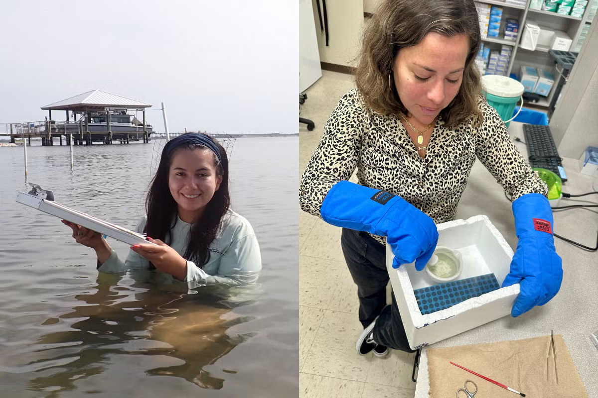 A woman conducts water research outdoors, holding a board in shallow water; in another image, she handles lab samples with blue gloves indoors.