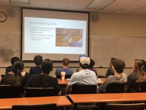 A group of students attentively watching a presentation in a classroom. The slide on the screen is titled "Now Introducing a Fish" and includes details about the fish's diet, tolerance, and habitat.