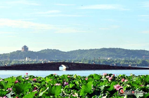 A stone bridge spans a lake with green hills in the background. The foreground features a large cluster of lotus plants. Clear sky overhead.