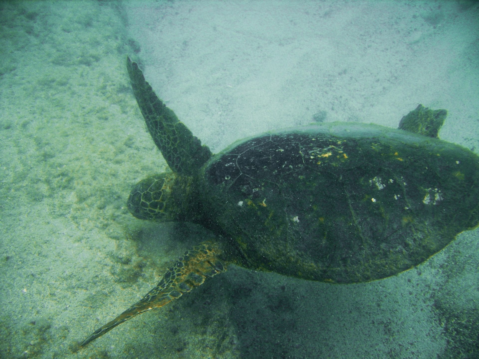 College of Sciences NewsBiology brings home several awards at Sea