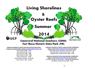 summer 2014 oyster