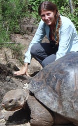 Simona_Ceriani_Galapagos_tortoise_Aug_08