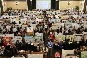 Undergraduate Research Awards