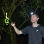 Man at night wearing a headlamp, holding a glowing green stick figure near a tree.