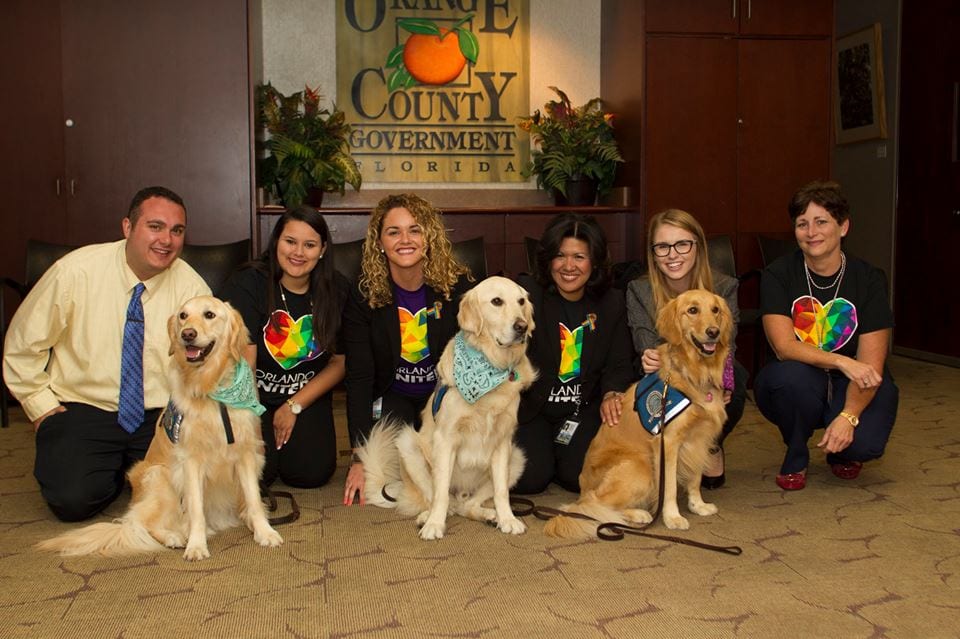 Lisa Kauffman met the Lutheran Church Charities’ K-9 Comfort Dogs at her internship with the Orange County Government Communications Division