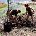 Two people planting a tree near a water body, using shovels to dig into the soil, with a black container nearby.