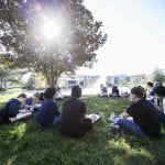 Group of students sitting on grass under a tree with sunlight filtering through, engaged in a discussion on a sunny day.
