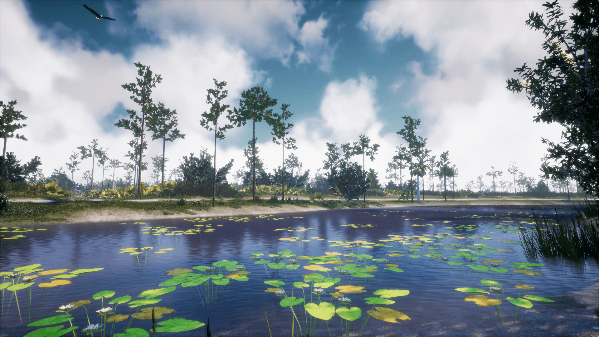 - Virtual Arboretum Visits Coming Soon - College of Sciences News ...