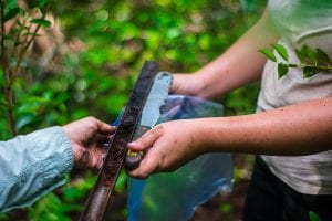 Two people sharpening a machete outdoors, one holding the blade and the other using a file, surrounded by lush greenery.